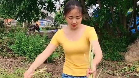 传奇手游发布网有哪些啊苹果？(单职业霸天传奇怎么打金？)插图