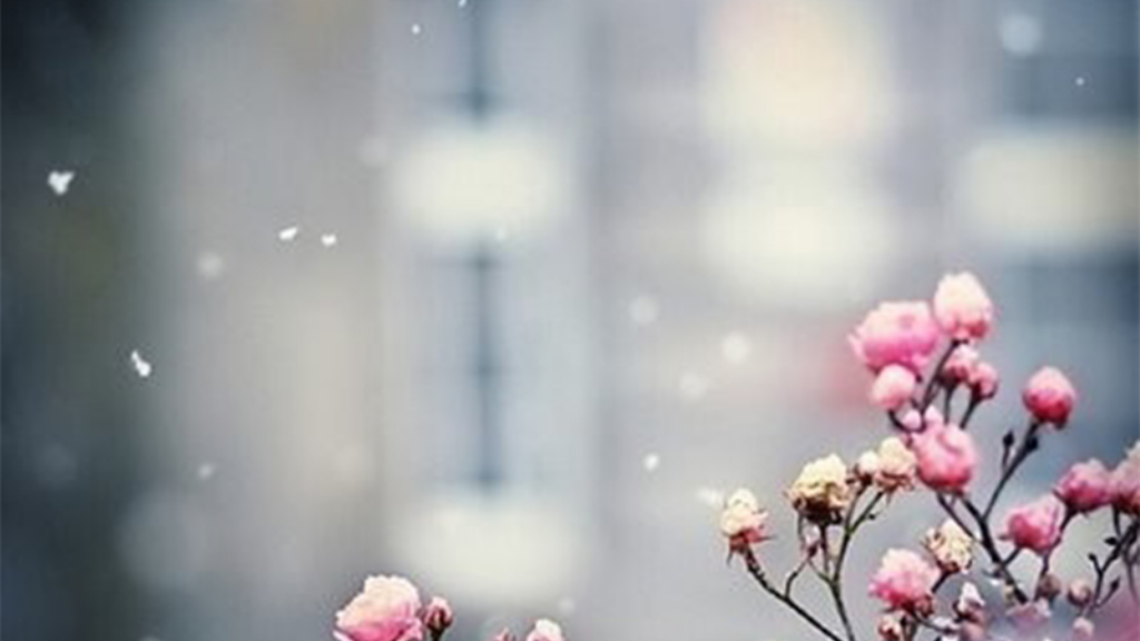 骷髅传奇手游用什么辅助？(有什么复古传奇手游？)插图