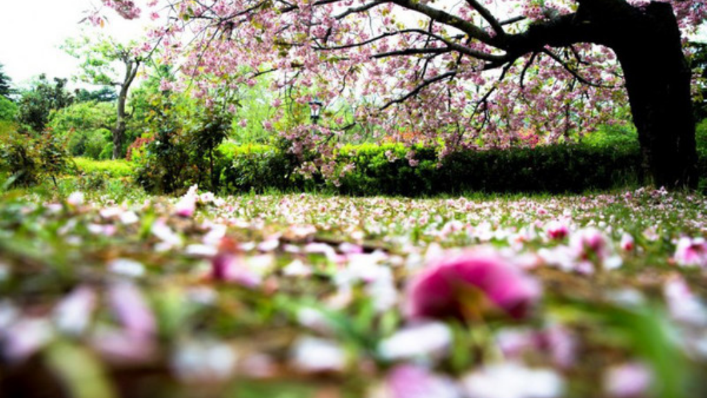 带月灵的传奇手游叫什么？(腾讯有一款什么传奇手游？)插图