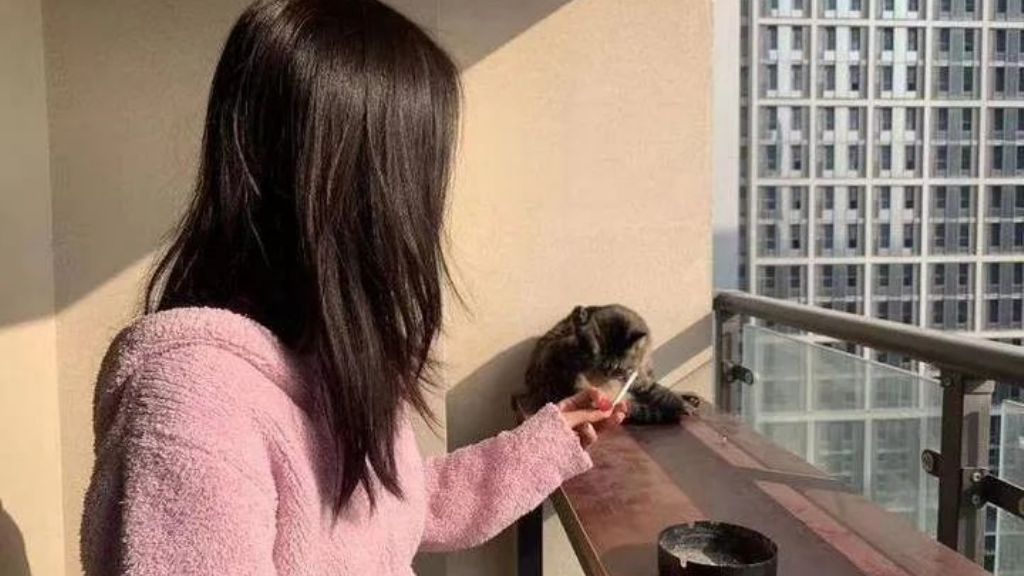 手游传奇游戏哪个最热？(热血传奇手游账号有什么用？)插图