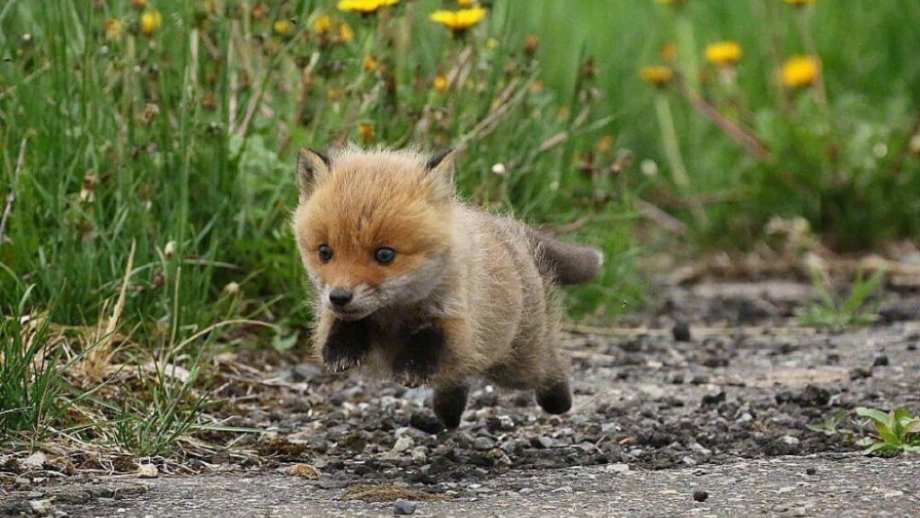 大家现在都玩什么传奇手游？(传奇4手游什么时候上线？)插图