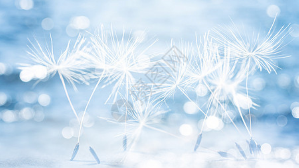 手游传奇开什么脚本？(单职业传奇轩辕剑怎么获得？)插图