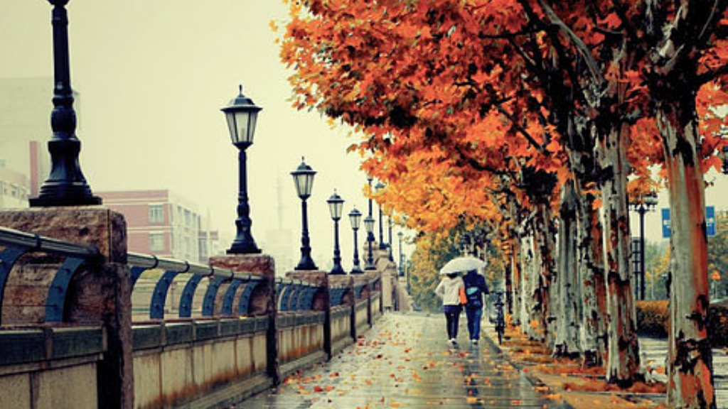 手游传奇庄园在什么位置？(传奇单职业怎么打不动怪？)插图