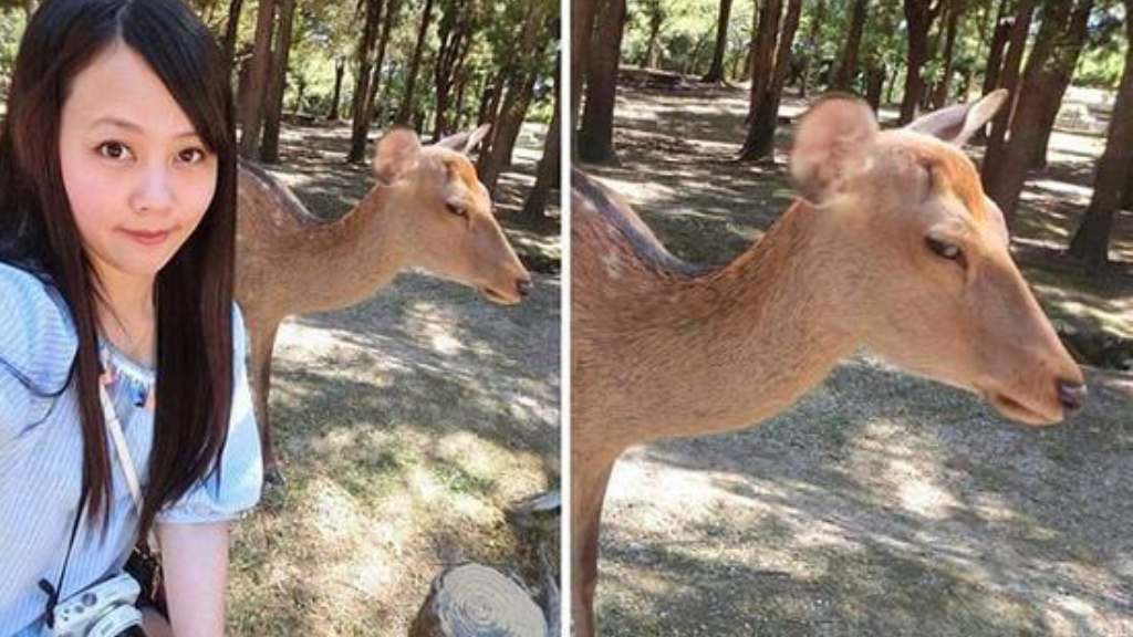 传奇可以改什么名称呢手游？(传奇手游什么时候有得？)插图