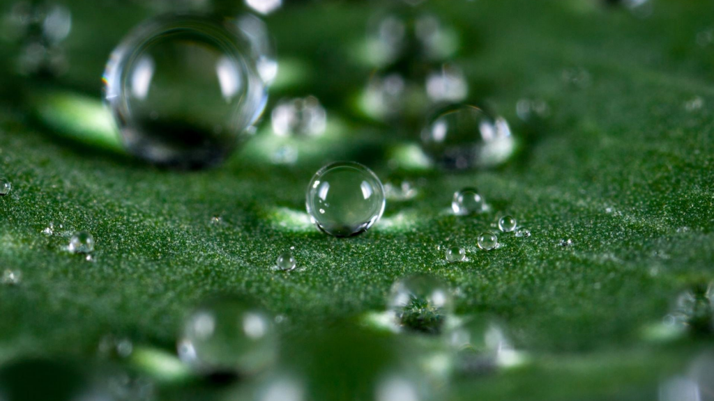 又有什么好玩的传奇手游？(传奇4是什么类型手游啊？)插图