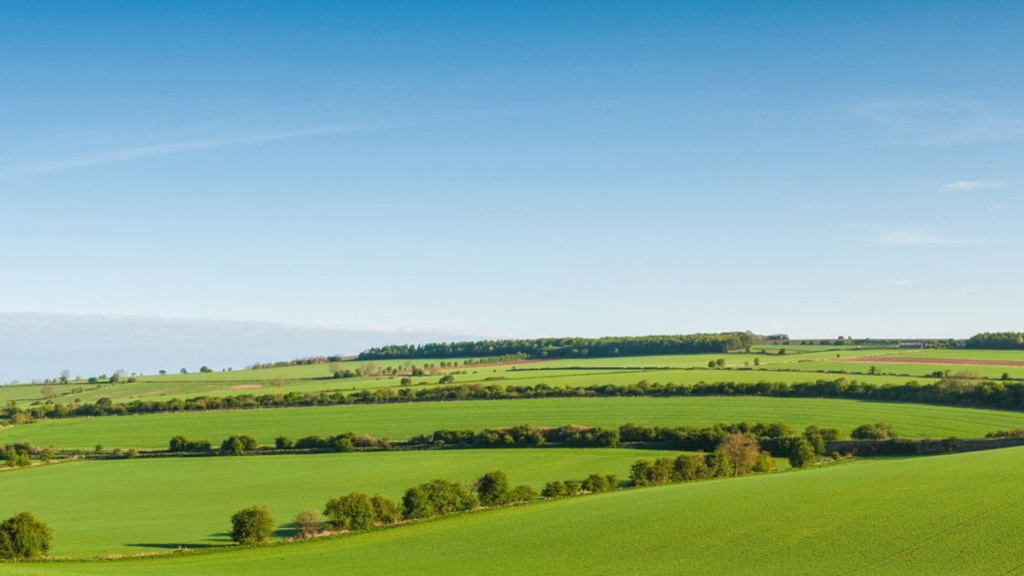 手游传奇法师属性加什么？(什么神途传奇手游好玩？)插图