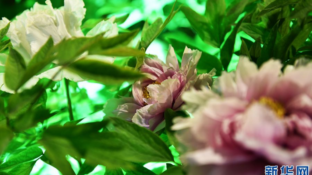 手游传奇之巅有什么辅助？(什么传奇手游赚钱攻略好？)插图