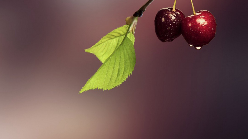 复古传奇手游哪个是官方？(到底什么传奇手游才好玩？)插图