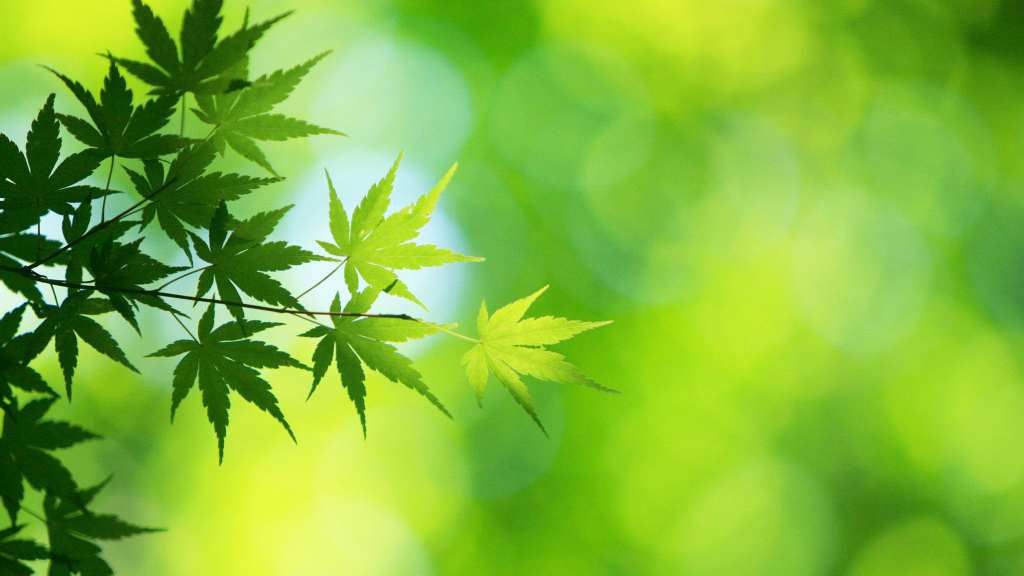 刘亦菲玩的传奇手游叫什么？(手游传奇哪个简单好玩？)插图