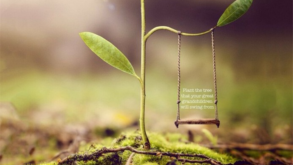 传奇手游的网站是什么？(斗鱼传奇手游授权码是什么？)插图