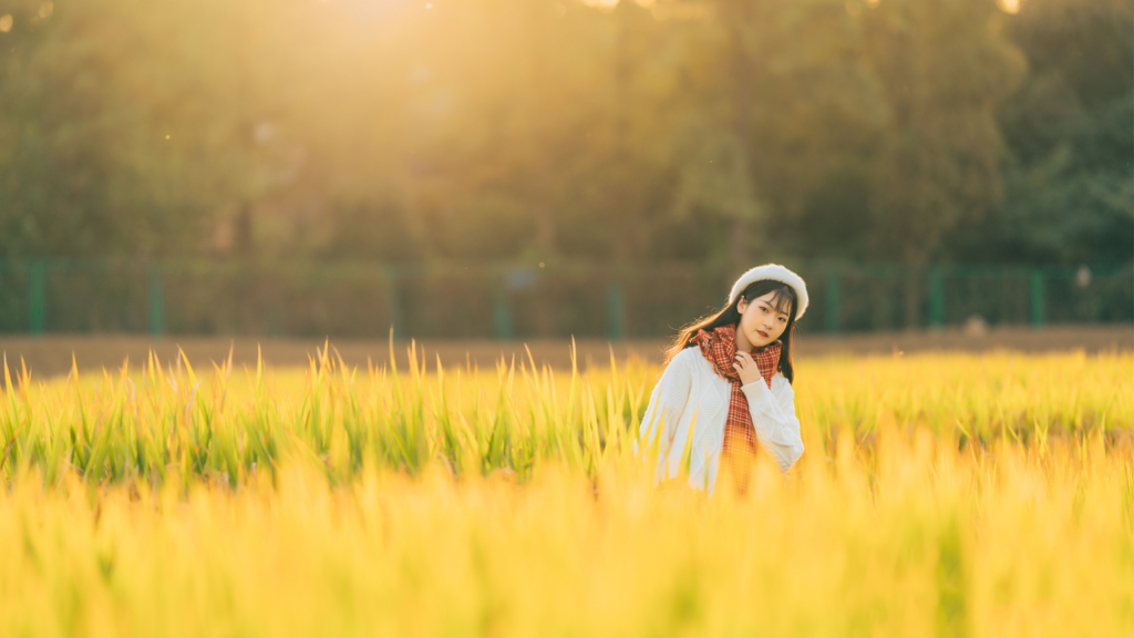 凤凰传奇手游宣传曲是什么？(什么传奇手游最火赚钱的？)插图