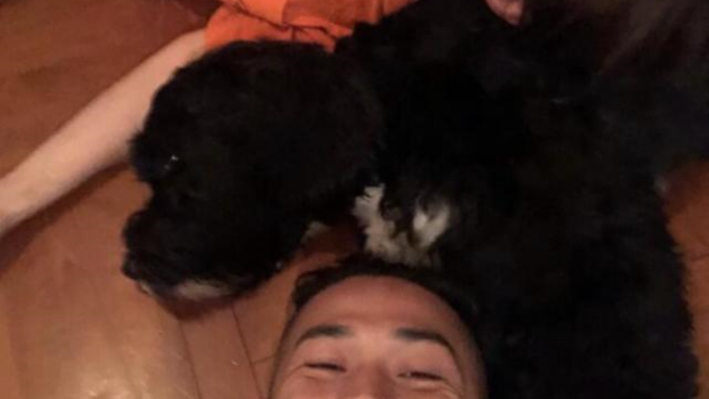 传奇手游道士带什么技能？(单职业的传奇用什么客户端？)插图