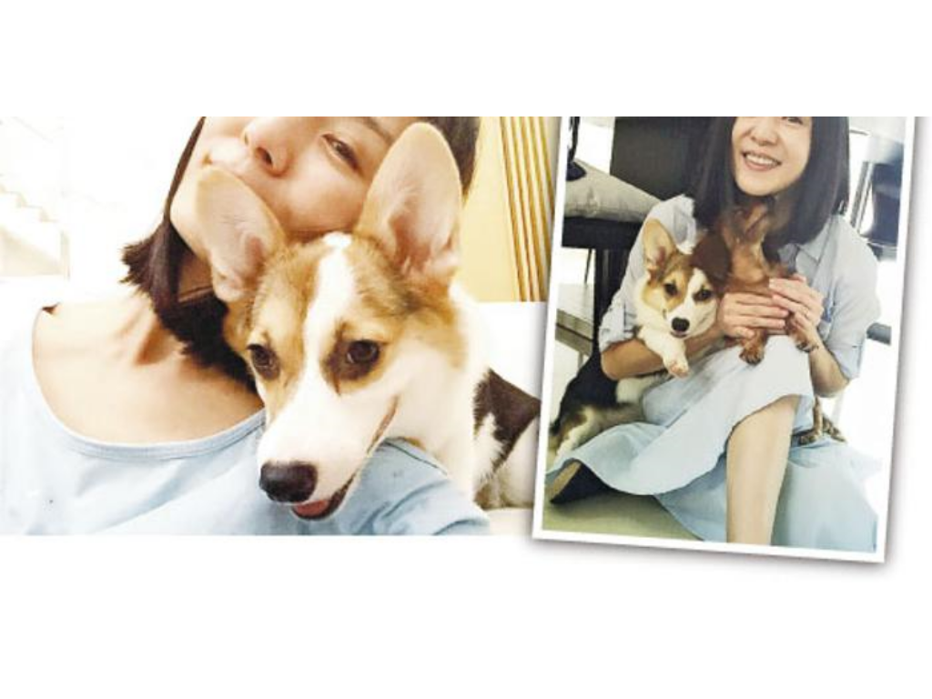 传奇打金手游小魔神是什么？(有没有不充钱什么传奇手游？)插图