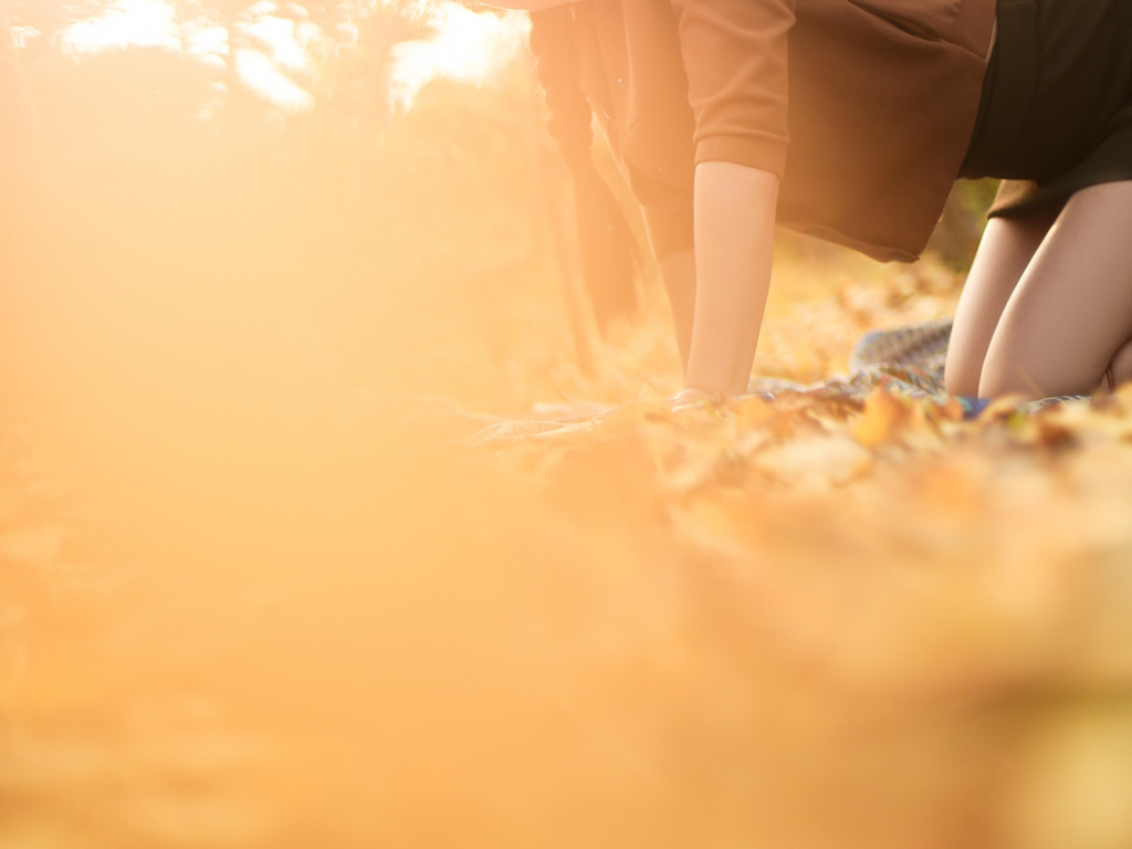 传奇怎么改单职业？(为什么网吧有人玩传奇手游？)插图