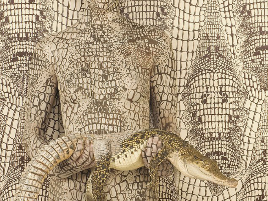 传奇霸业单职业是什么意思？(传奇单职业怎么改成三职业？)插图