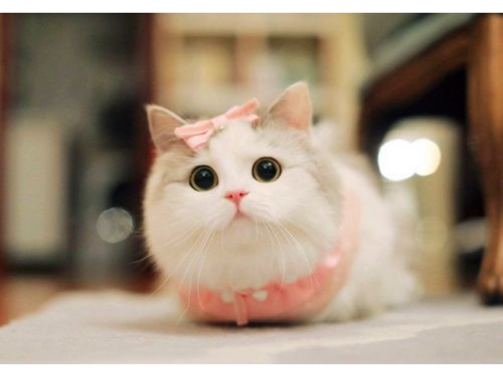 传奇手游歌曲叫什么？(苍穹什么的传奇手游？)插图