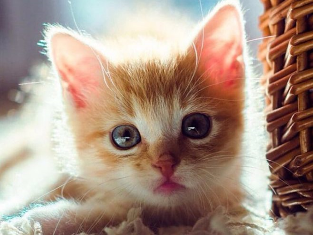 传奇手游哪个版本好玩贴吧?(火龙传奇手游哪个区人多?)插图 传奇手游哪个版本好玩贴吧?(火龙传奇手游哪个区人多?)插图