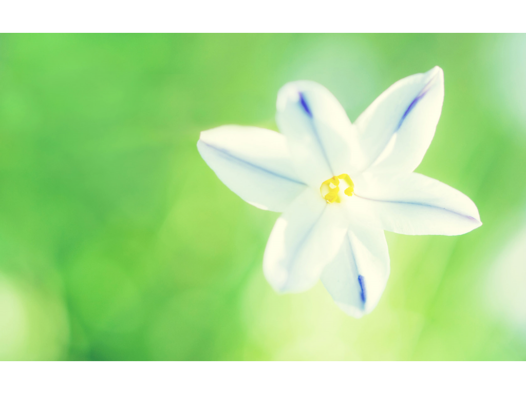 传奇英雄手游什么时候出？(手游传奇挖矿按什么键？)插图