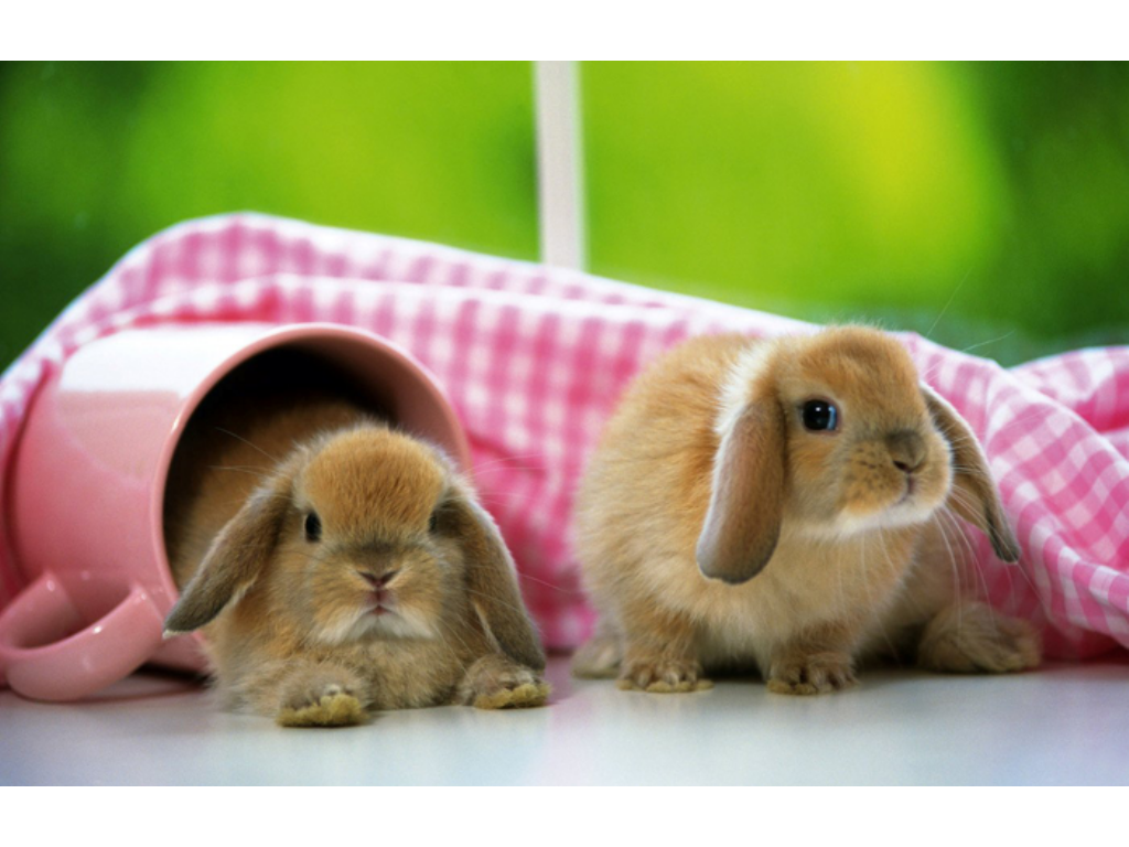 手游传奇套装与散装哪个好？(有哪些传奇盒子手游好玩？)插图