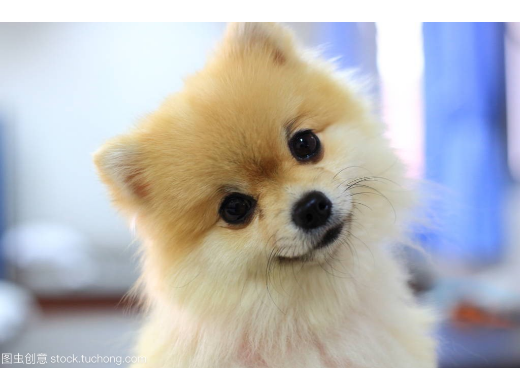 传奇手游里的宝宝是什么？(180传奇什么手游？)插图