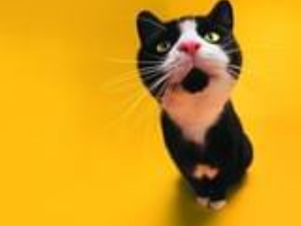 轩辕传奇手游如何提升修为？(传奇手游如何退出门派？)插图