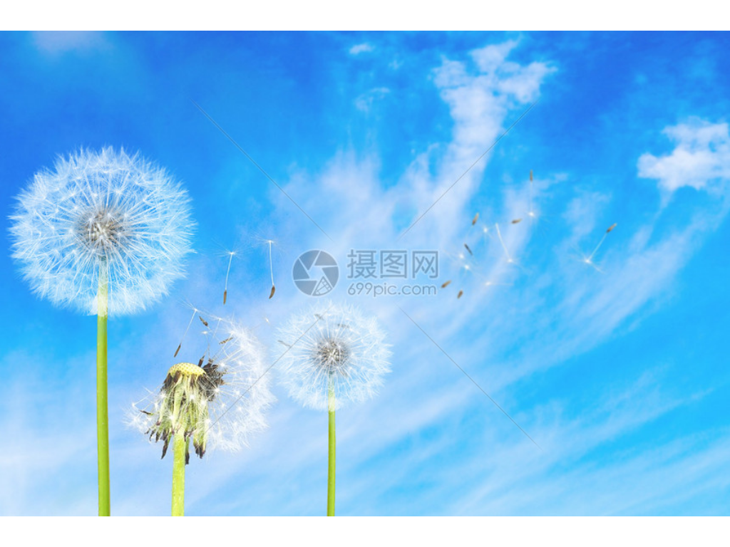 传奇手游鬼泣带什么套装？(传奇sf怎么调整武器怎么卡爆率？)插图