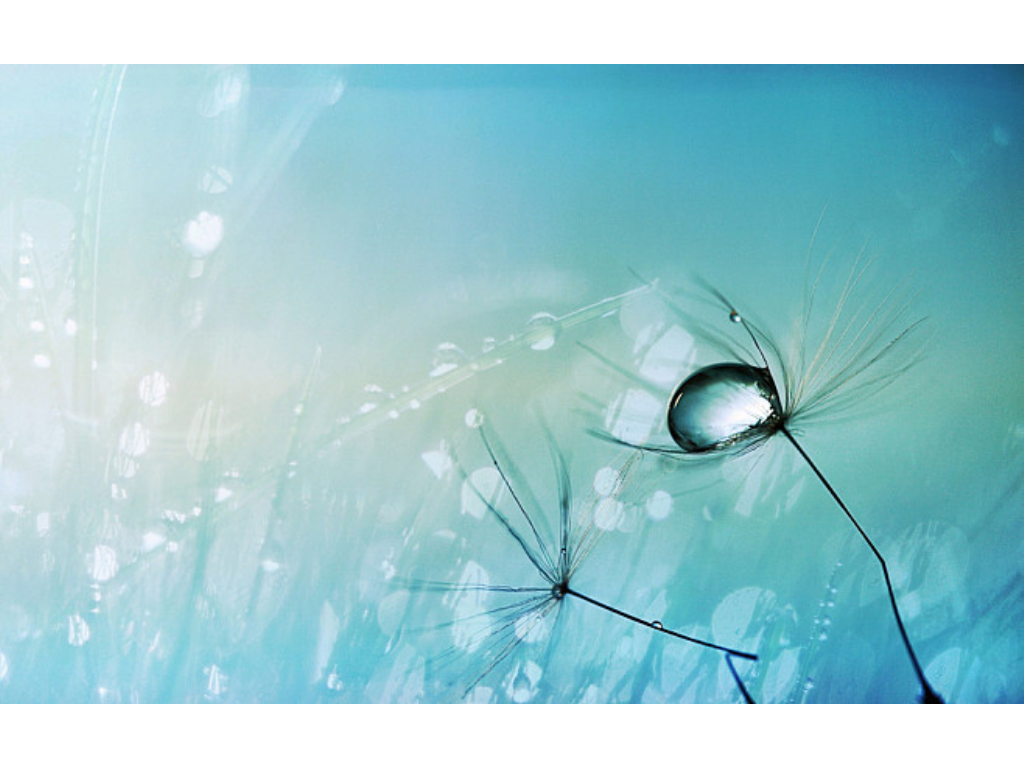 传奇手游魔王哪个好玩点？(传奇手游挂哪个好用？)插图