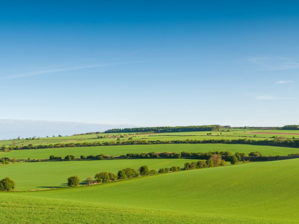 热血传奇手游尸魔多久刷新？(如何获得热血传奇手游？)插图