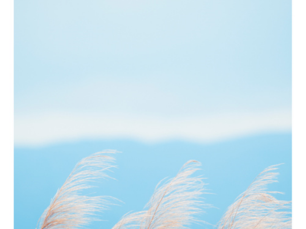 传奇手游自动任务哪个好？(送财童子的传奇手游叫什么？)插图