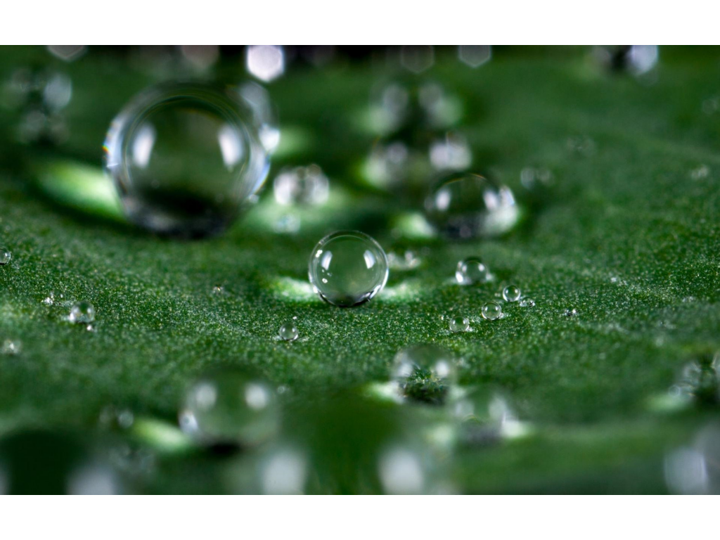 龙珠传奇手游在哪里更新？(热血传奇手游如何赚元宝？)插图