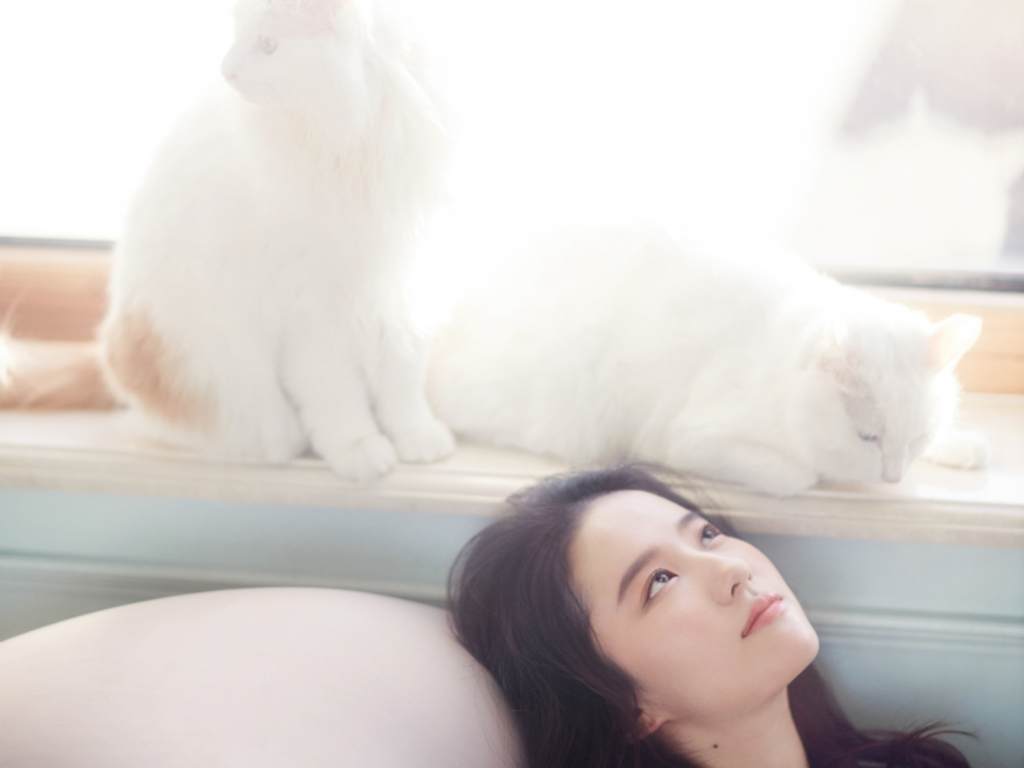 手游原始传奇脚本哪里获得？(有哪些传奇类手游？)插图