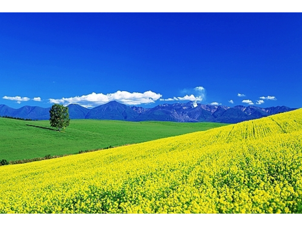 自己做个传奇手游多少钱？(传奇手游萌新玩家数量多少？)插图