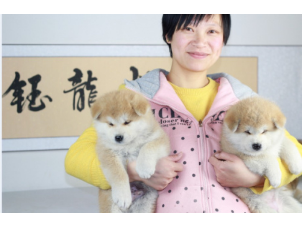 神途传奇手游礼包码多少？(传奇手游折扣码是多少金币？)插图