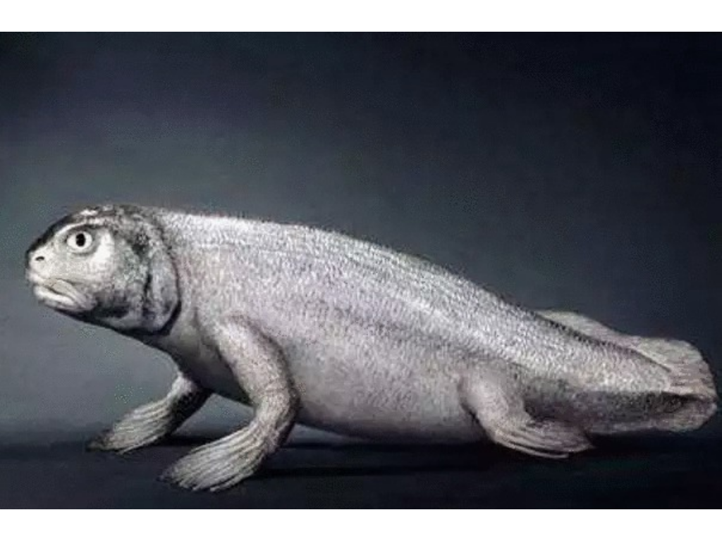 至尊传奇手游暗殿在哪里？(手游热血传奇多少级降魔？)插图