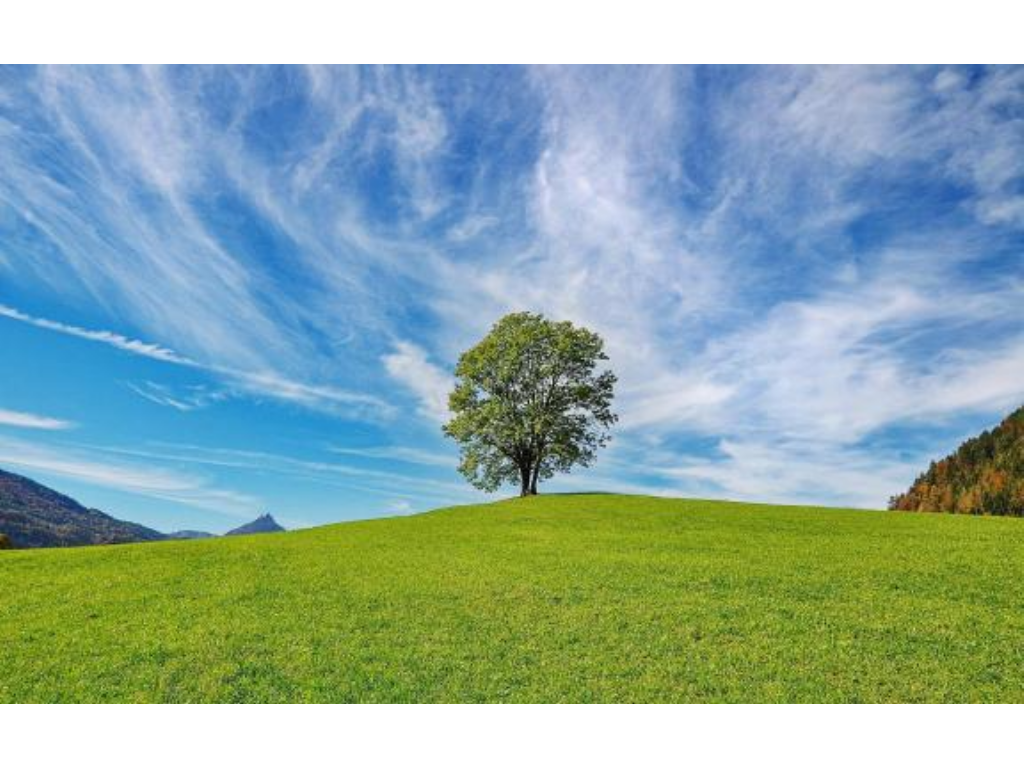 什么手游可以代理传奇？(腾讯传奇手游助手叫什么？)插图