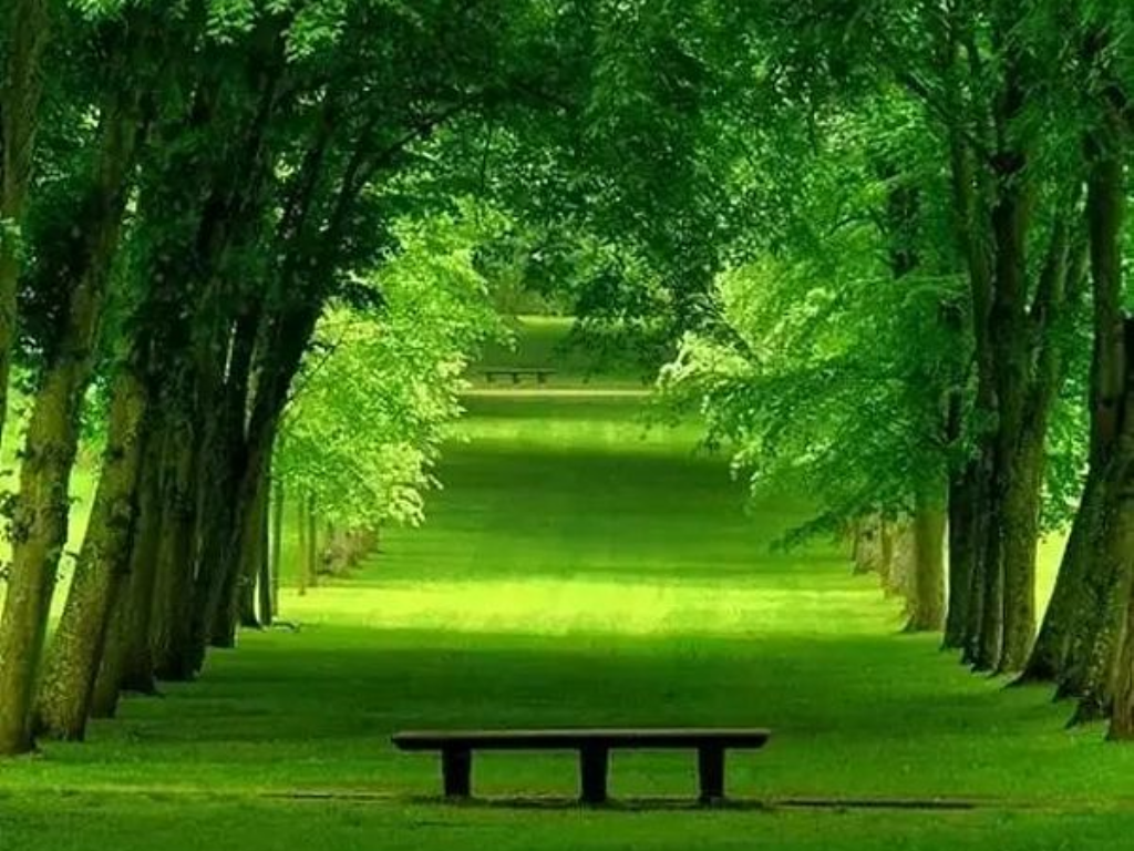 热血传奇手游如何快速？(手游热血传奇哪里买坐骑？)插图