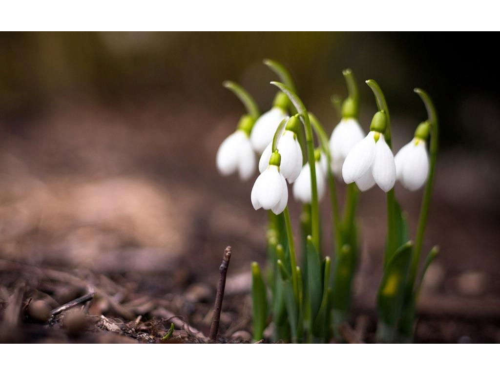 手游传奇哪个人多吗？(轩辕传奇手游如何赚钱？)插图