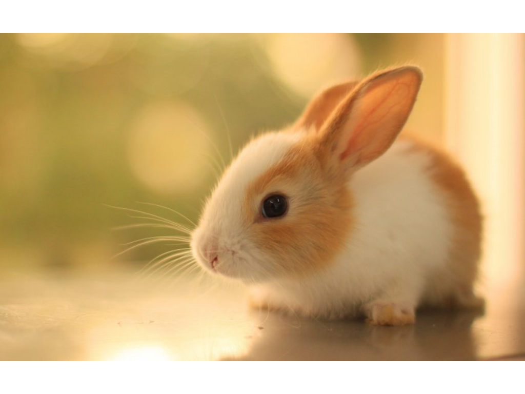 电脑多开传奇手游多少个号？(如何下载空中传奇手游版？)插图