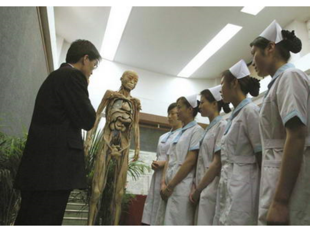 热血传奇手游蛇蝎在哪里？(手游复古传奇如何快速升级？)插图