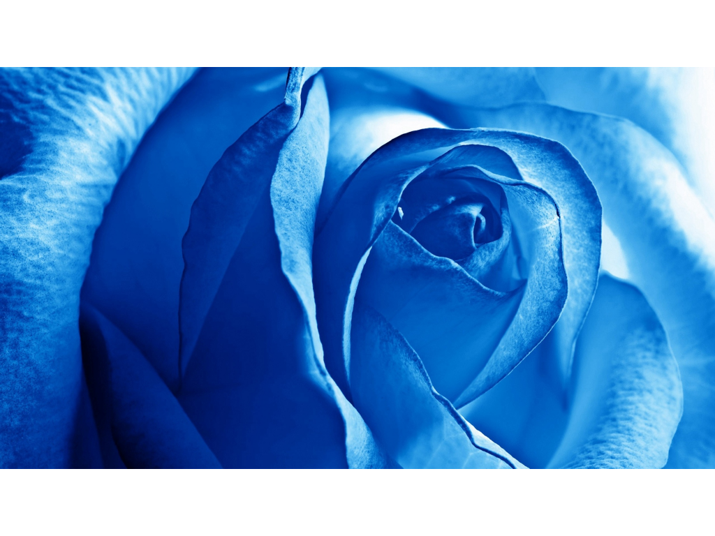 热血传奇手游50级要多久？(热血传奇手游连载时间多久？)插图