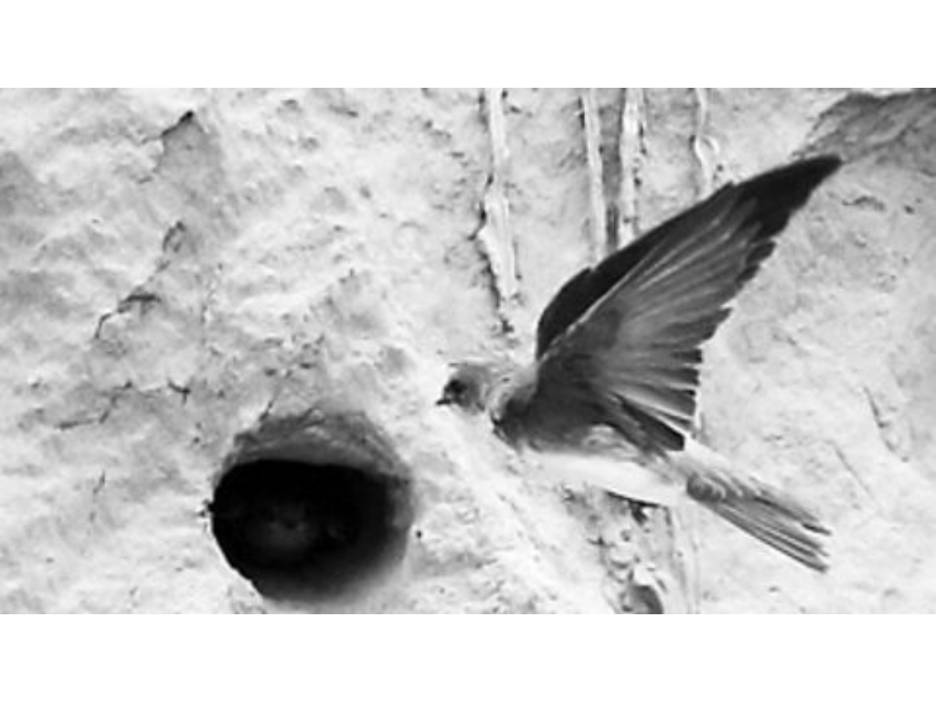 手游传奇祖玛精英在哪里？(传奇手游里如何升钻？)插图