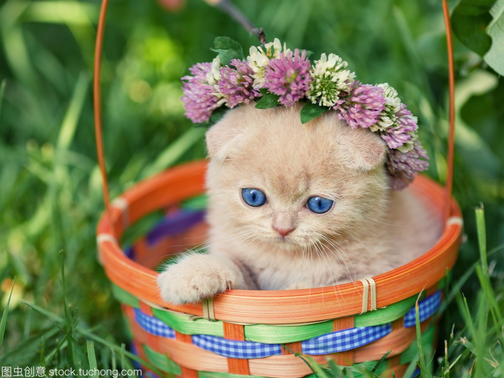 手游传奇裁决哪里爆？(盛大传奇手游元神要多少？)插图