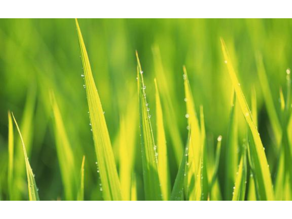 热血传奇手游价值多少？(如何和传奇手游结缘关系？)插图