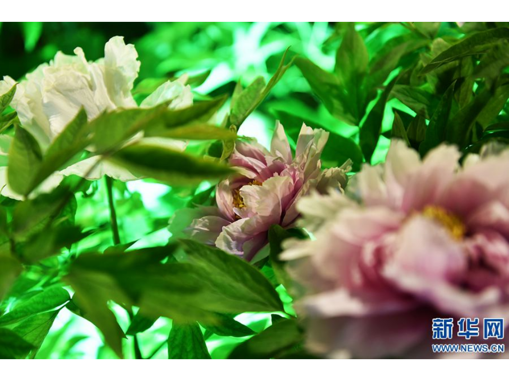 冰雪传奇手游如何赚钱？(传奇世界手游充值充多少？)插图