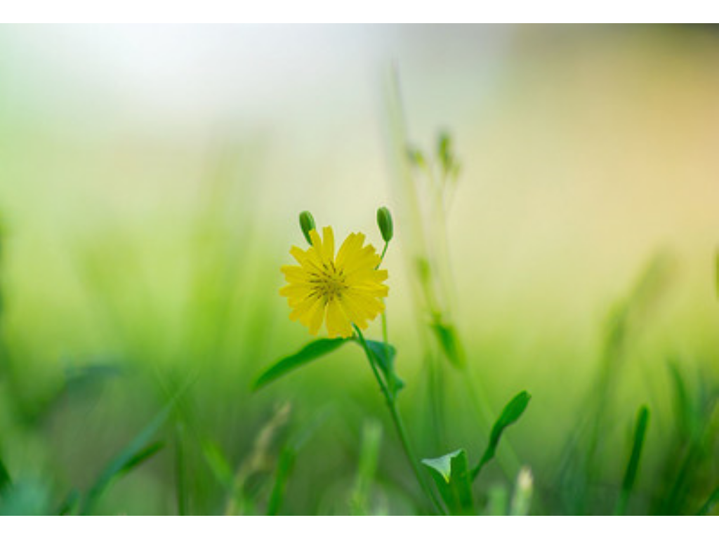 如何取消冰雪传奇手游？(传奇手游3祖玛在哪里？)插图