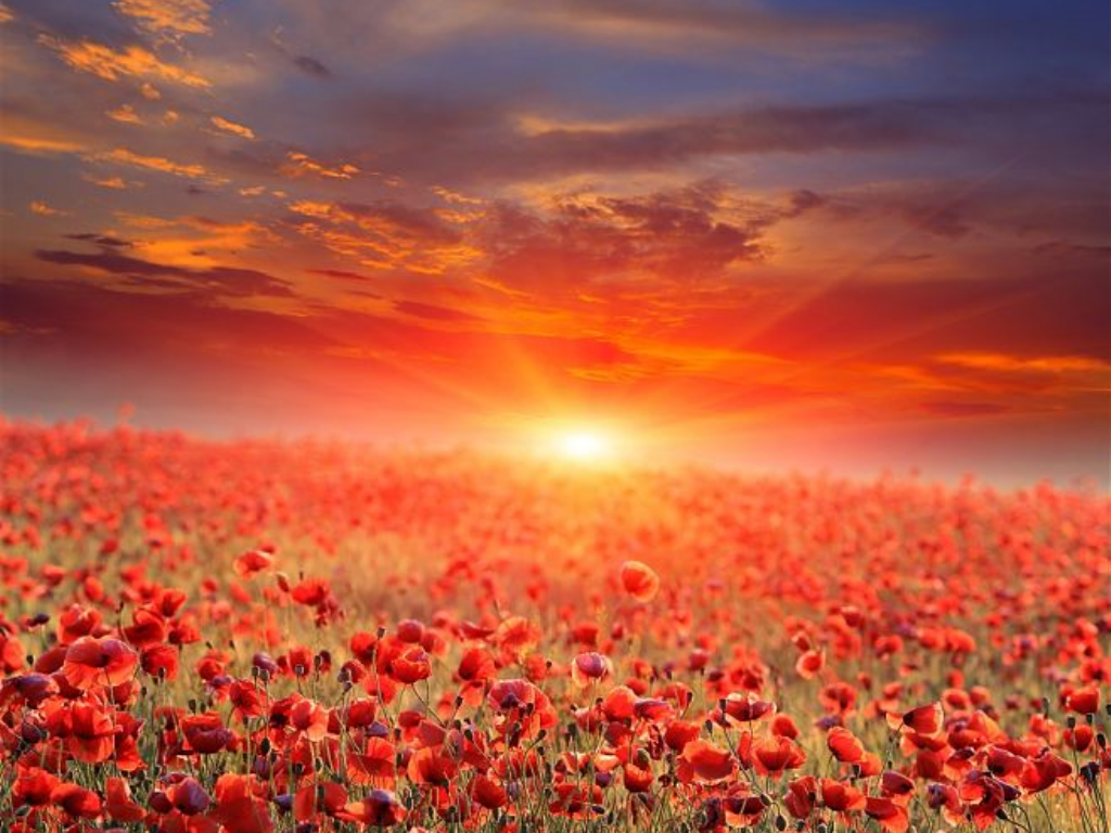 手游冰雪传奇礼包哪里领？(传奇手游十万元宝是多少钱？)插图