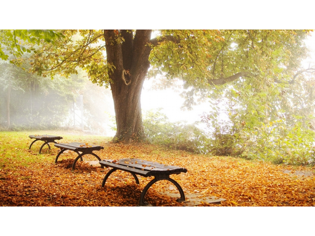 在哪里下载传奇世界手游？(抖音上如何搜传奇手游？)插图