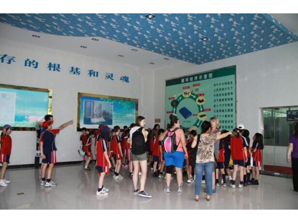 哪里有手游传奇好玩的？(传奇手游萌宠哪里升级？)插图