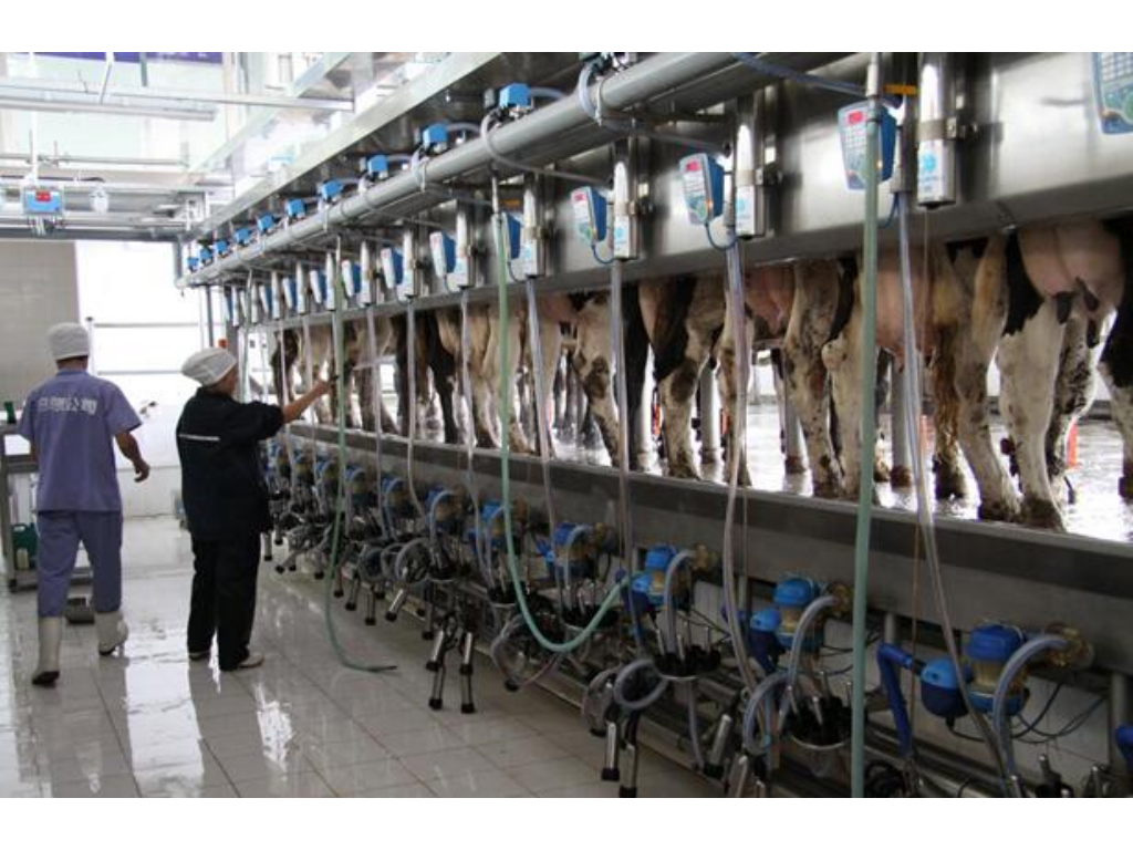 传奇手游属于什么游戏吗？(传奇手游奥特曼有什么？)插图