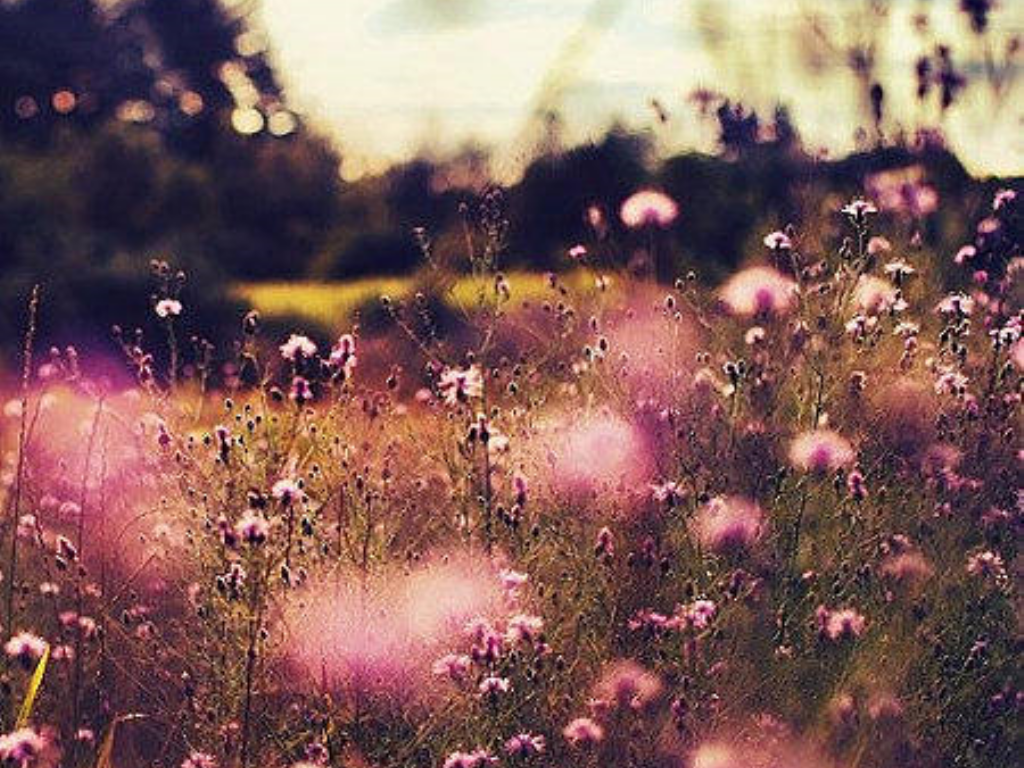 传奇手游如何卡月灵？(传奇手游韧性装备有哪些？)插图